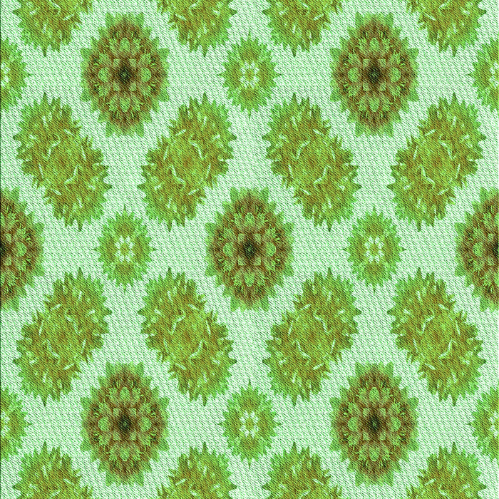 Machine Washable Transitional Pastel Green Rug, wshpat1335grn