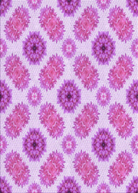 Machine Washable Transitional Blossom Pink Rug, wshpat1335pur