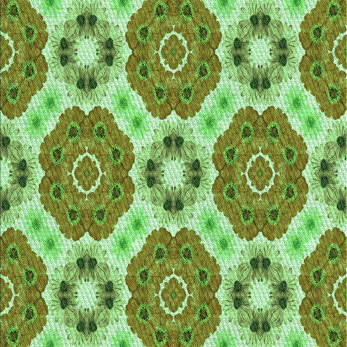 Machine Washable Transitional Green Rug, wshpat1336grn