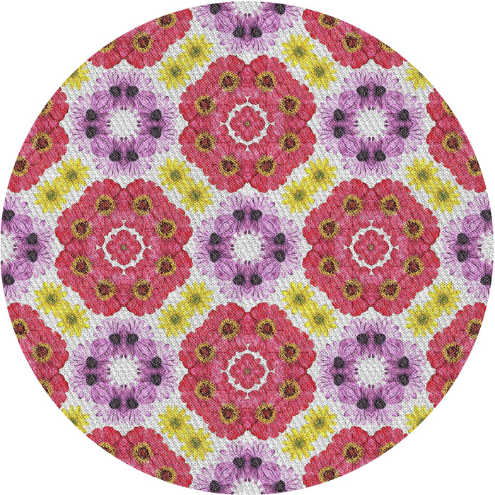 Sideview of Patterned Bright Maroon Red Novelty Rug, pat1336