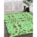 Patterned Jade Green Rug in Family Room, pat1337grn