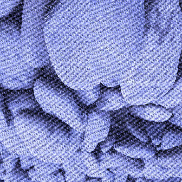 Machine Washable Transitional Sky Blue Rug, wshpat134blu