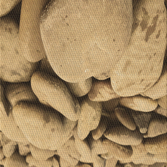 Machine Washable Transitional Saddle Brown Rug, wshpat134brn