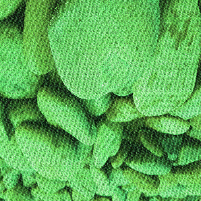 Machine Washable Transitional Neon Green Rug, wshpat134grn