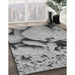 Machine Washable Transitional Cloud Gray Rug in a Family Room, wshpat134gry