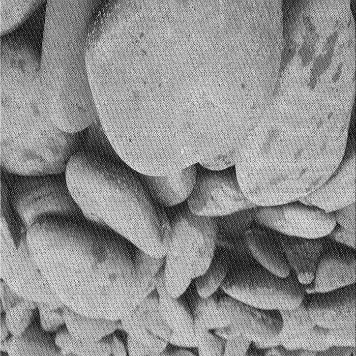 Machine Washable Transitional Cloud Gray Rug, wshpat134gry