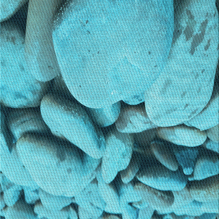 Machine Washable Transitional Dark Cyan Green Rug, wshpat134lblu