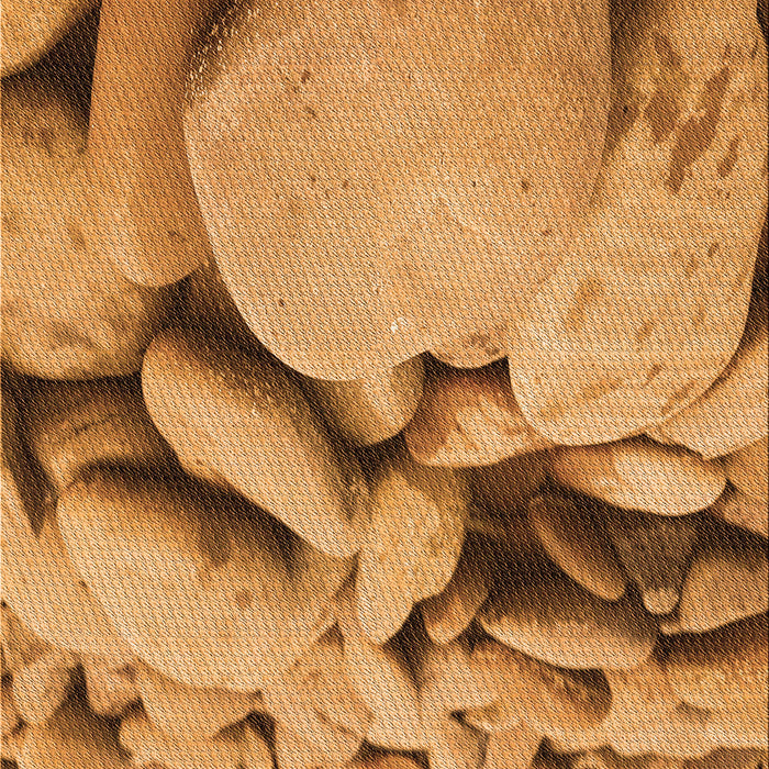 Machine Washable Transitional Orange Rug, wshpat134org