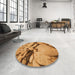 Round Patterned Orange Rug in a Office, pat134org