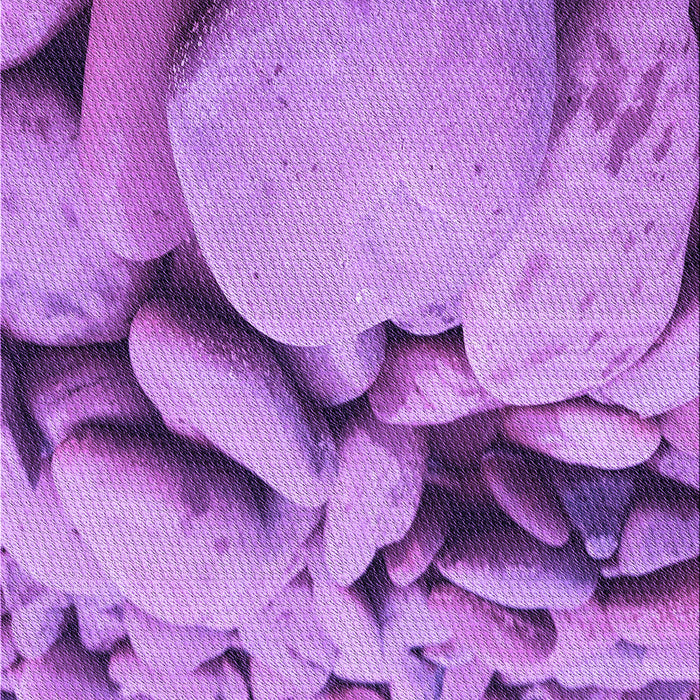 Patterned Violet Purple Rug, pat134pur