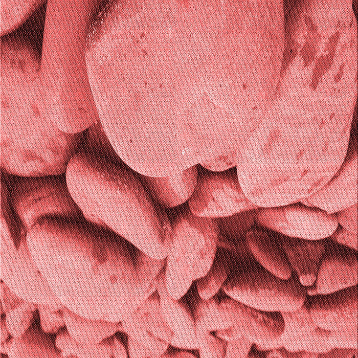 Patterned Red Rug, pat134rd