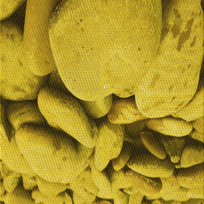 Machine Washable Transitional Dark Bisque Brown Rug, wshpat134yw