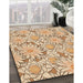 Machine Washable Transitional Khaki Gold Rug in a Family Room, wshpat1341org