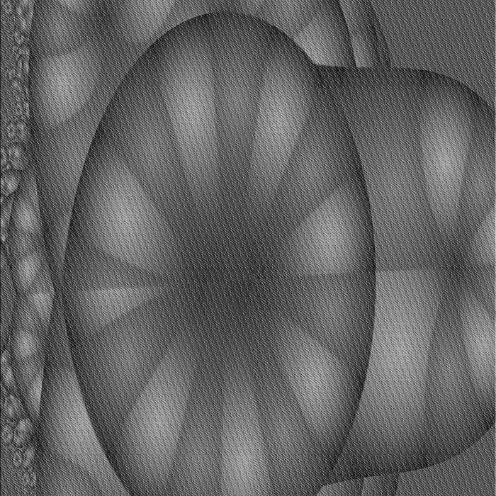 Machine Washable Transitional Gray Rug, wshpat1344gry