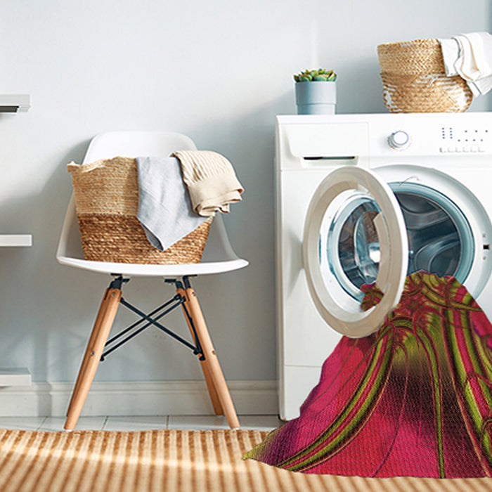 Machine Washable Transitional Red Rug in a Washing Machine, wshpat1347org