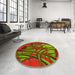 Round Patterned Dark Yellow Green Rug in a Office, pat1347yw