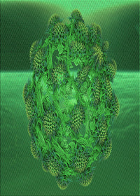 Machine Washable Transitional Deep Emerald Green Rug, wshpat1349grn
