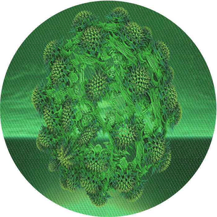 Square Machine Washable Transitional Deep Emerald Green Rug in a Living Room, wshpat1349grn