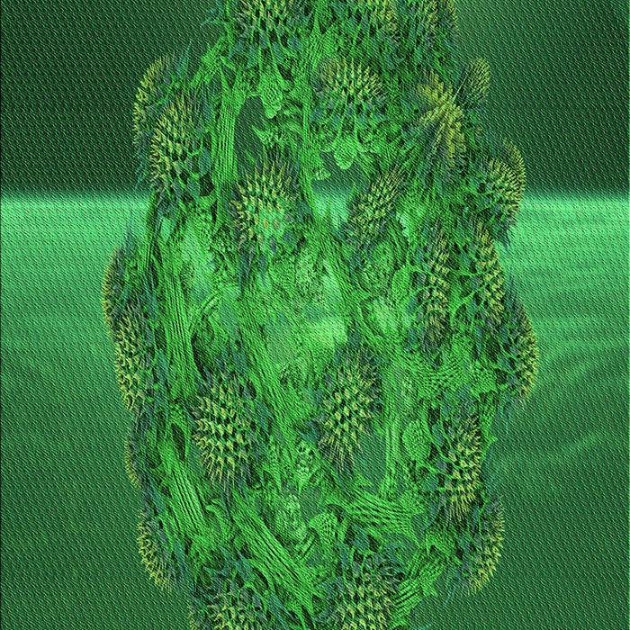 Patterned Deep Emerald Green Rug, pat1349grn