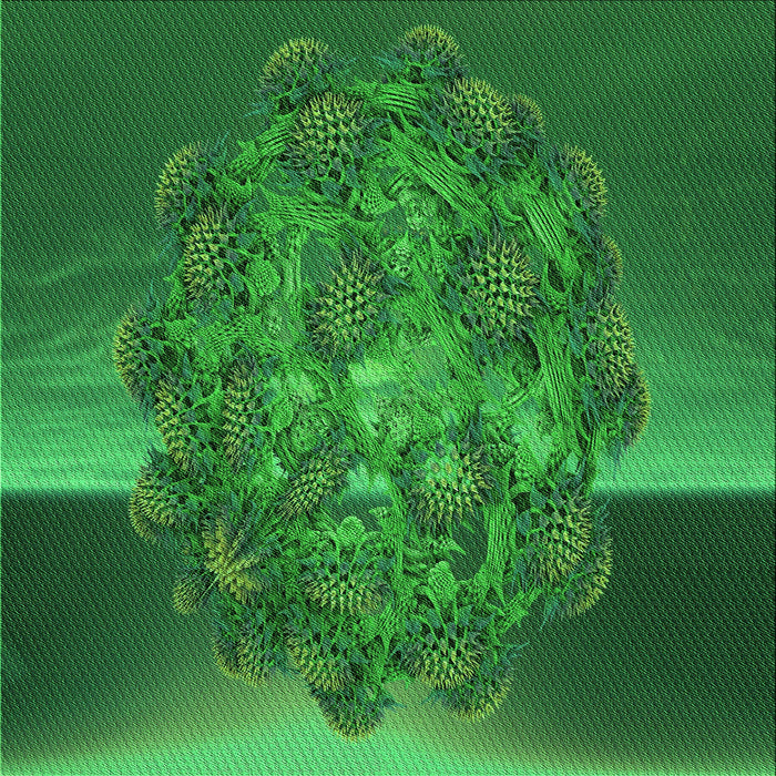 Round Machine Washable Transitional Deep Emerald Green Rug, wshpat1349grn