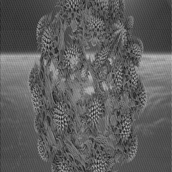 Patterned Gray Rug, pat1349gry