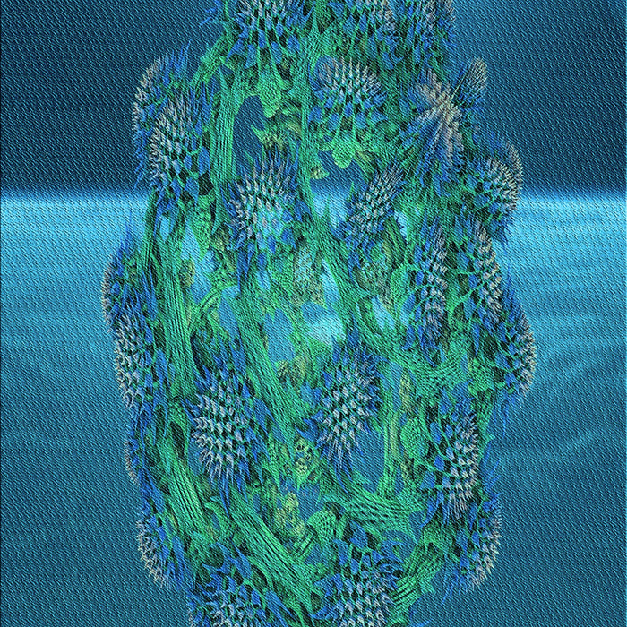 Patterned Dark Turquoise Green Rug, pat1349lblu