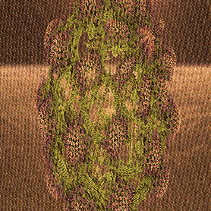 Patterned Red Brown Rug, pat1349org