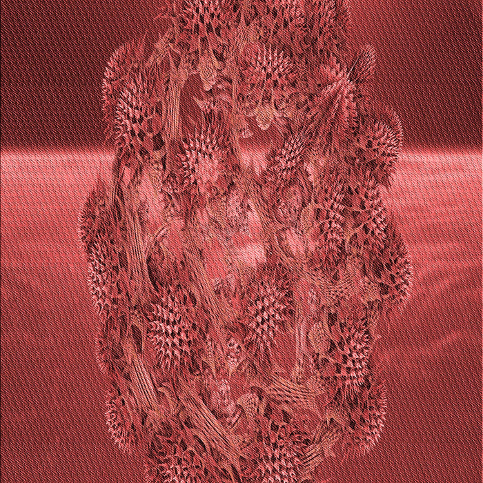 Patterned Red Rug, pat1349rd