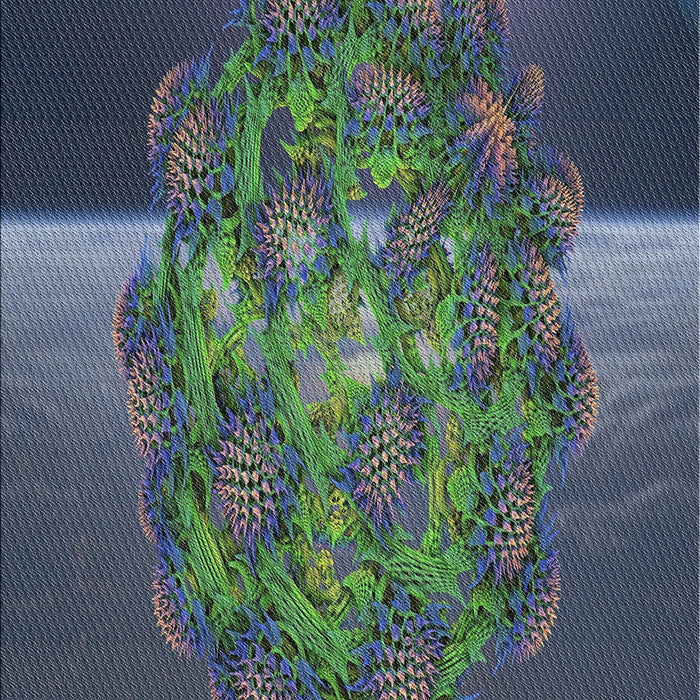 Machine Washable Transitional Dark Slate Blue Rug, wshpat1349