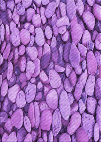 Machine Washable Transitional Violet Purple Rug, wshpat135pur