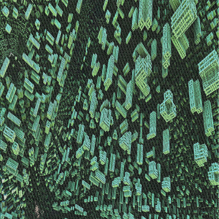 Patterned Black Novelty Rug, pat1351