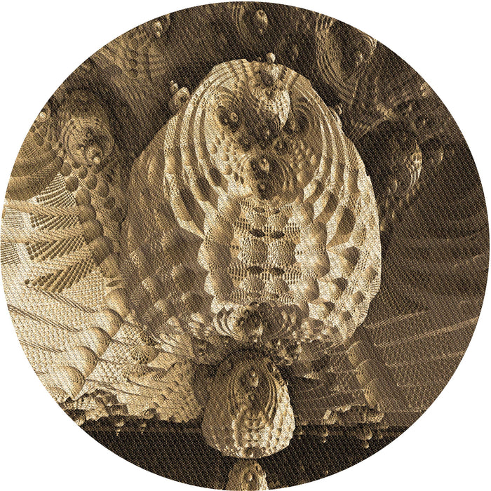 Square Machine Washable Transitional Peru Brown Rug in a Living Room, wshpat1354brn