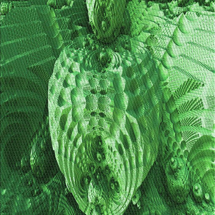 Machine Washable Transitional Deep Emerald Green Rug, wshpat1354grn