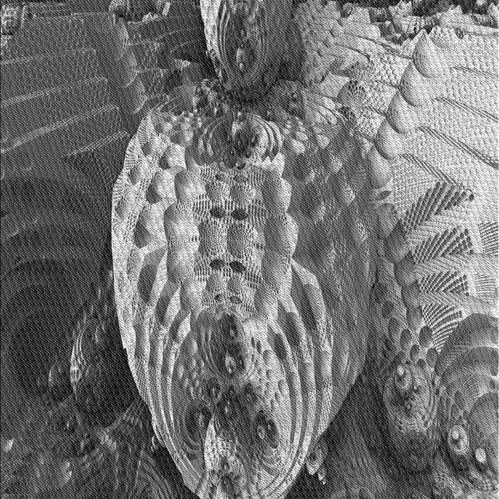 Machine Washable Transitional Gunmetal Gray Rug, wshpat1354gry