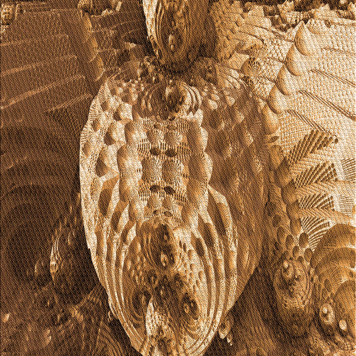 Patterned Red Brown Rug, pat1354org