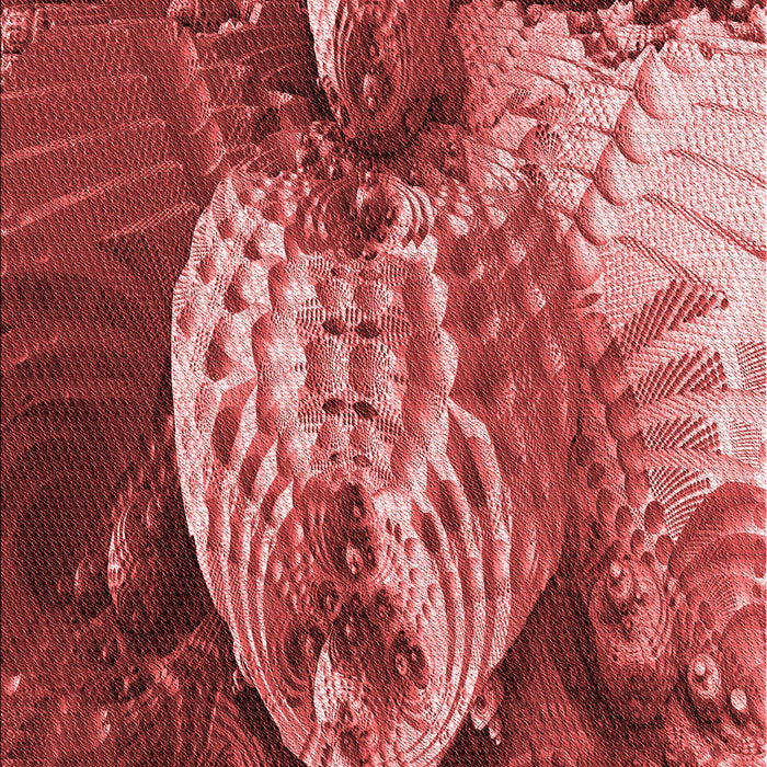 Machine Washable Transitional Cranberry Red Rug, wshpat1354rd