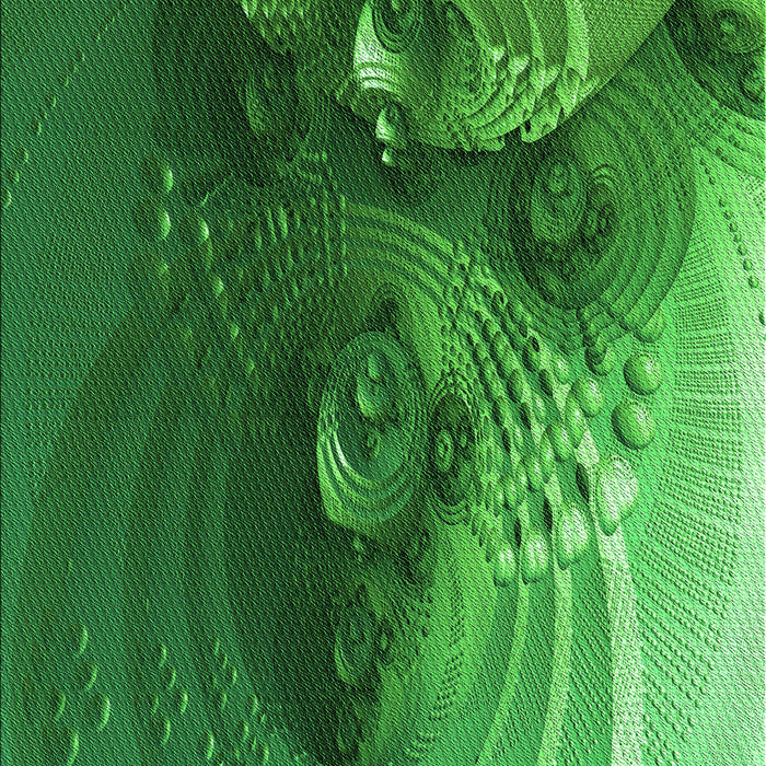 Machine Washable Transitional Deep Emerald Green Rug, wshpat1355grn