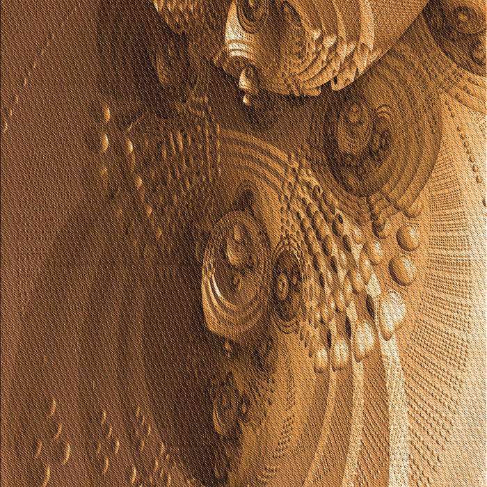 Machine Washable Transitional Red Brown Rug, wshpat1355org