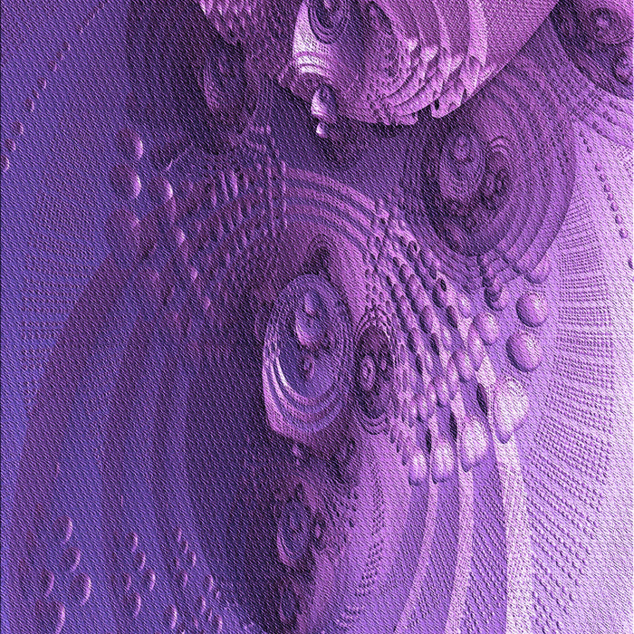 Machine Washable Transitional Purple Rug, wshpat1355pur