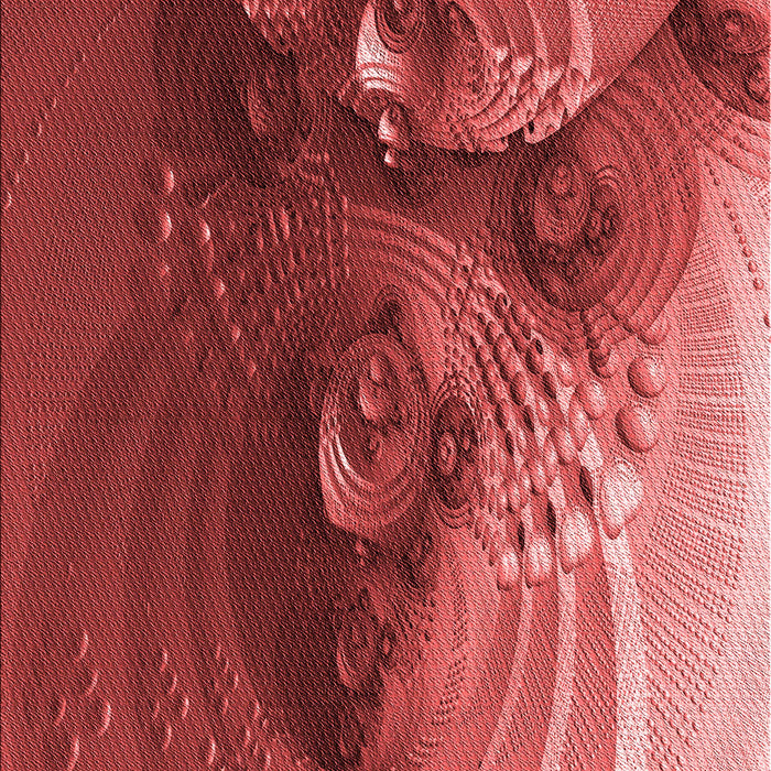 Machine Washable Transitional Red Rug, wshpat1355rd