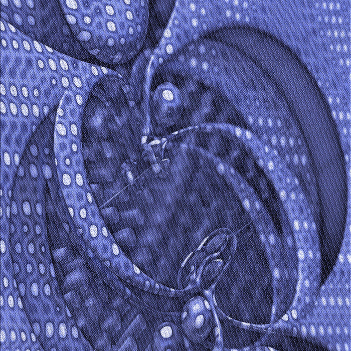 Patterned Light Slate Blue Rug, pat1358blu