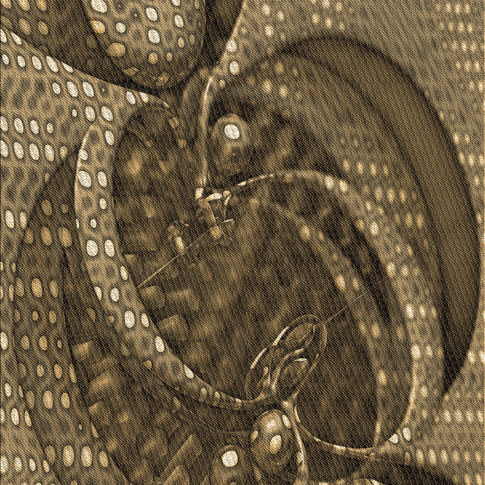 Patterned Copper Brown Rug, pat1358brn