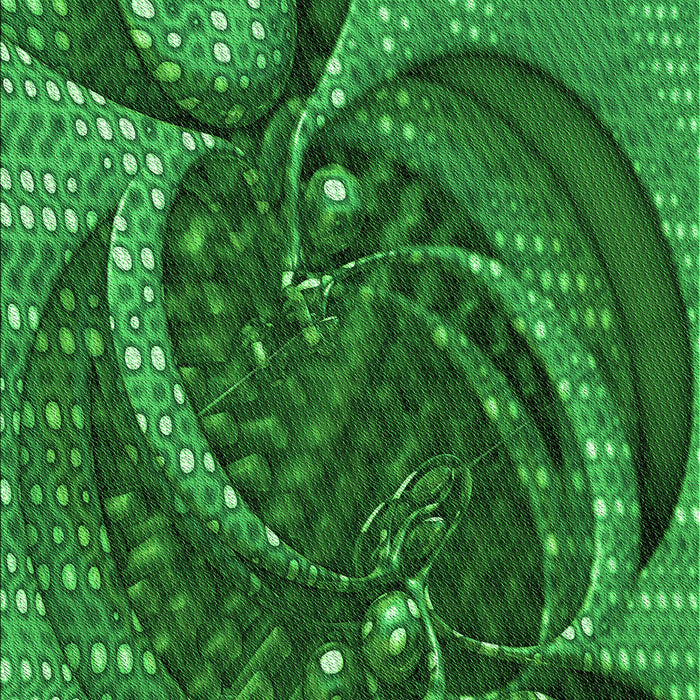 Patterned Deep Emerald Green Rug, pat1358grn