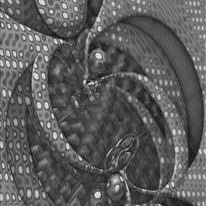 Machine Washable Transitional Dark Gray Black Rug, wshpat1358gry