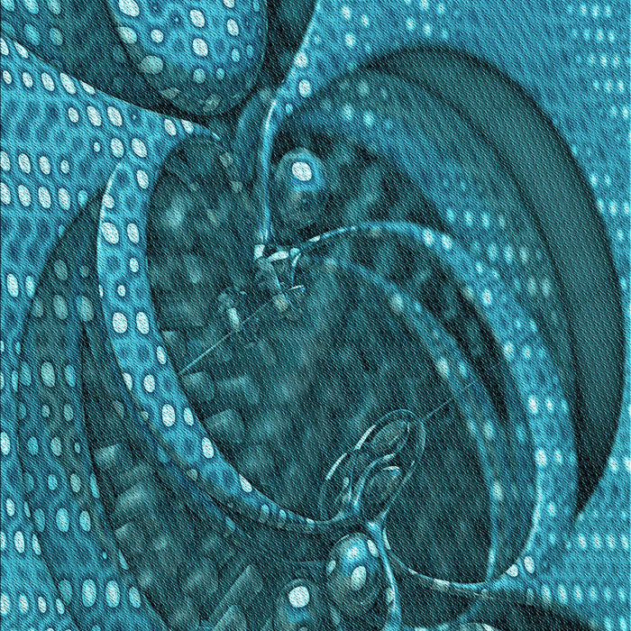 Patterned Dark Turquoise Green Rug, pat1358lblu