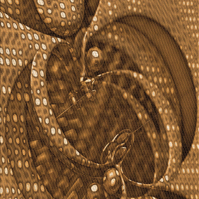 Machine Washable Transitional Red Brown Rug, wshpat1358org