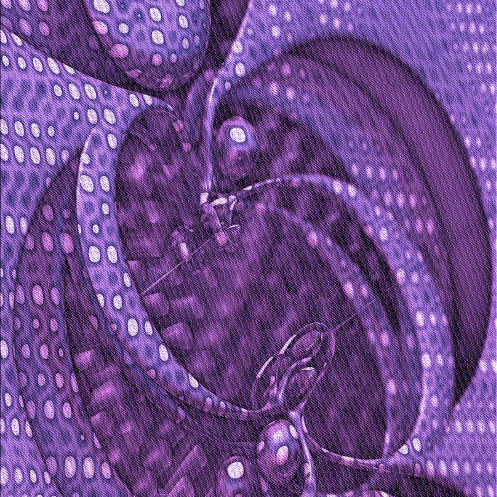 Machine Washable Transitional Bright Purple Rug, wshpat1358pur