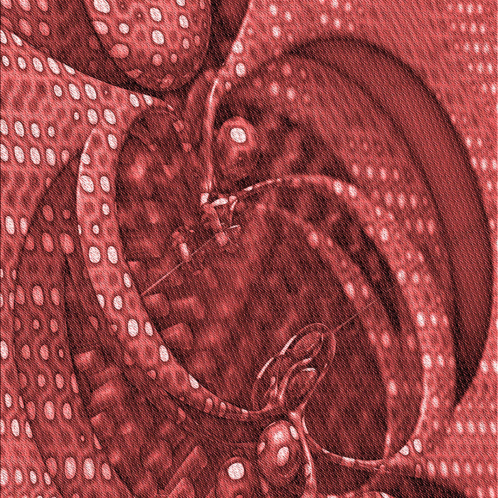 Patterned Orange Rug, pat1358rd