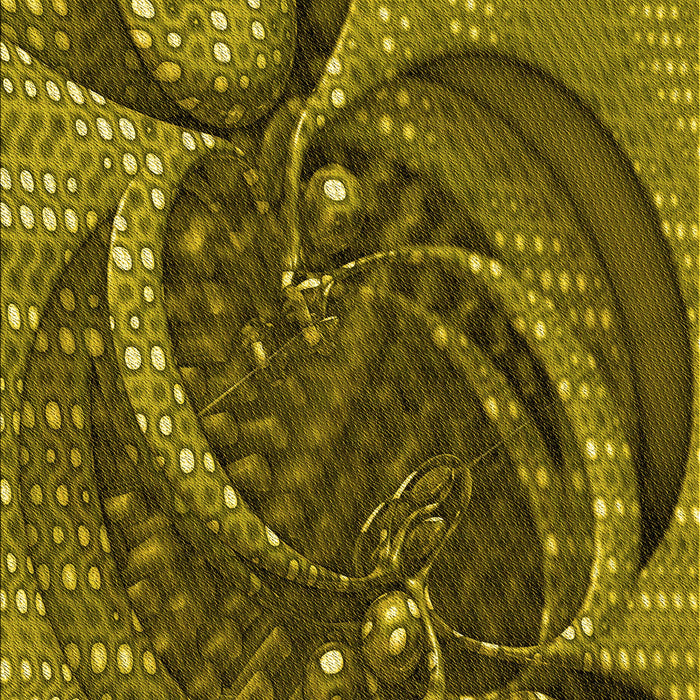 Machine Washable Transitional Bakers Brown Rug, wshpat1358yw