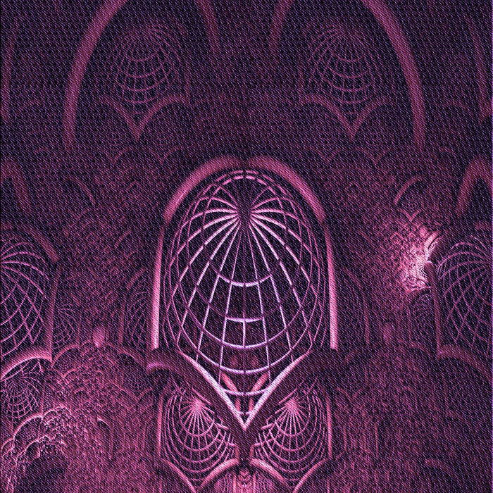 Machine Washable Transitional Dark Magenta Purple Rug, wshpat1360pur